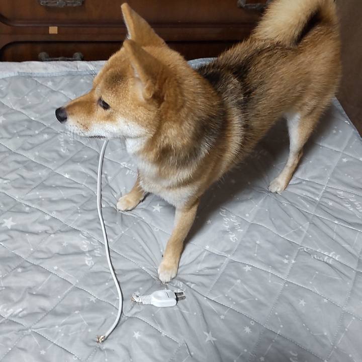 0bb96870 1e79 41ea a20f 270c0011c9f5 1628551698131