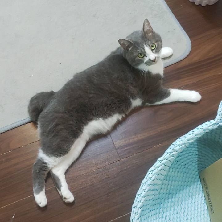 0bb990fe deaa 4827 bc6c 41d0eda2ef3e 1718966806576