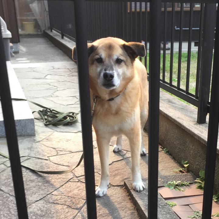 0bb9d9c3 f22b 414d 9f7e ec59dd922ead 1554634492175