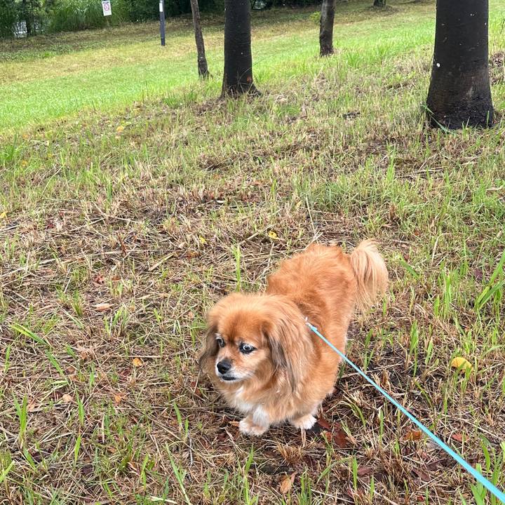 0bb9f2cf de32 4c63 9bd9 f1e832ad5808 1725148187104