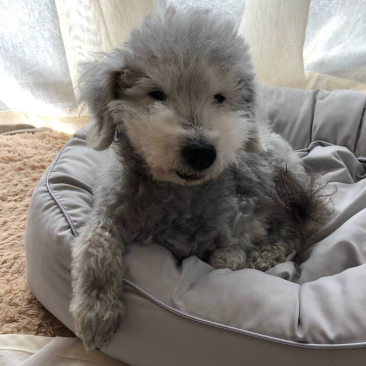 0bb9f368 a95b 4ca8 a9e3 dc1342cb52ab 1654648236716