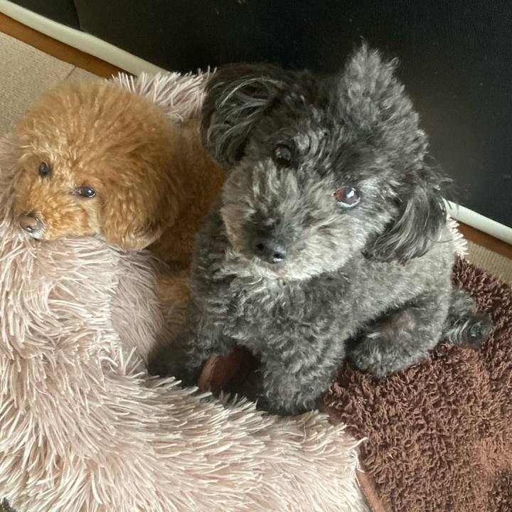 0bb9f92f 3c11 43e8 a313 77a57e83509d 1676436252092