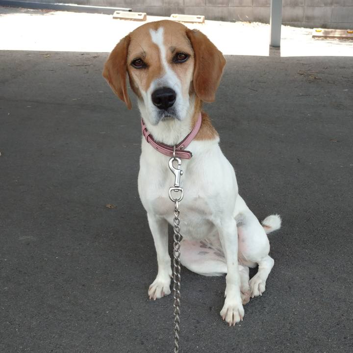 0bba0165 e190 4335 ae47 d2a8fc930494 1595307752262