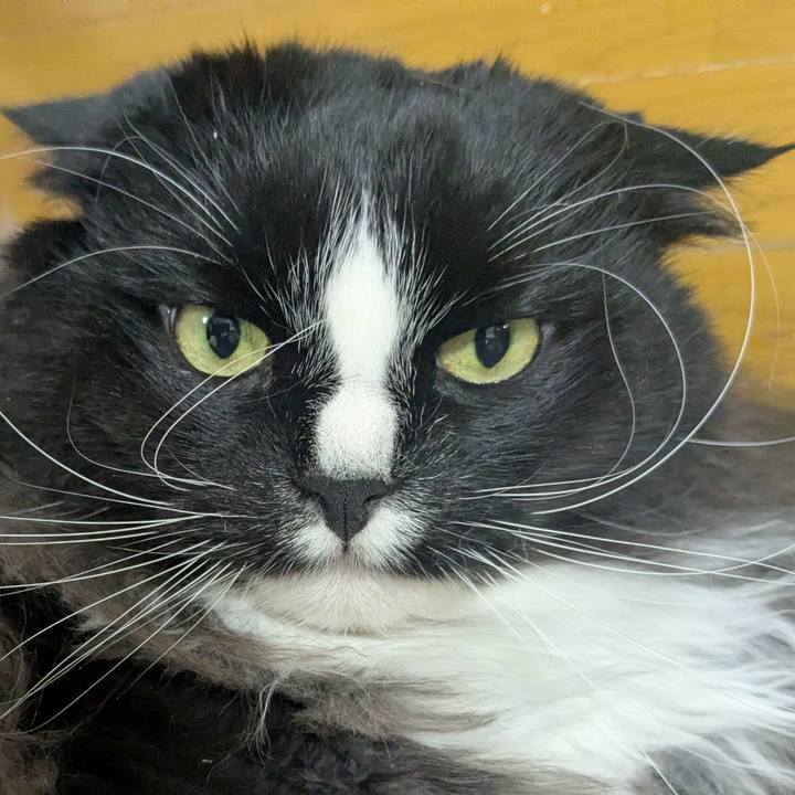 0bba1f41 6b36 4e92 be7f a9ad4bf4a7c7 1771054419043