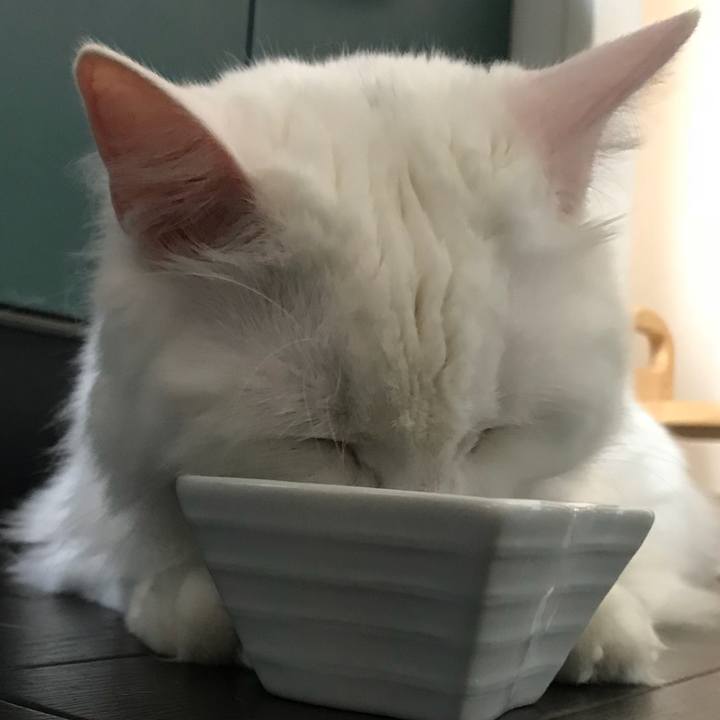 0bba5314 0e3f 4b9b 8606 32bf49e3bda3 1532254227943