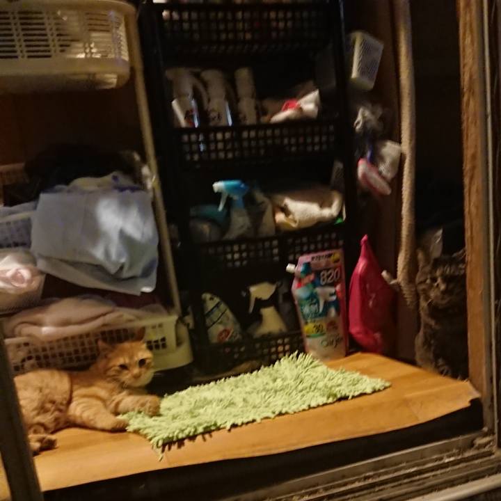 0bba7f29 ebb9 4a7c ac80 8ec7836efb2e 1652188809320