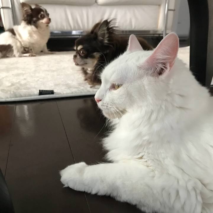 0bbac66e 4b00 40b0 8b35 32ea37dbb8d8 1536377980951