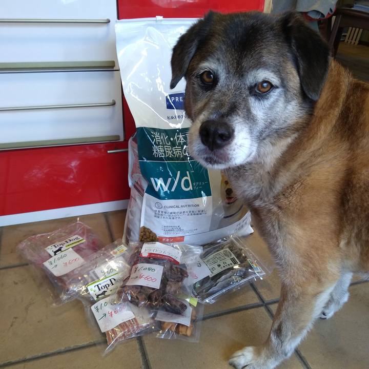 0bbad3e0 b46f 4ab1 97ea 14113609298d 1562115000082