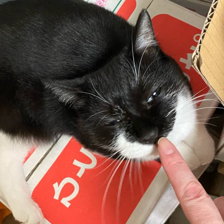 0bbaf4fd 4de4 4d7c 85e4 4595364f1f58 1626755949807