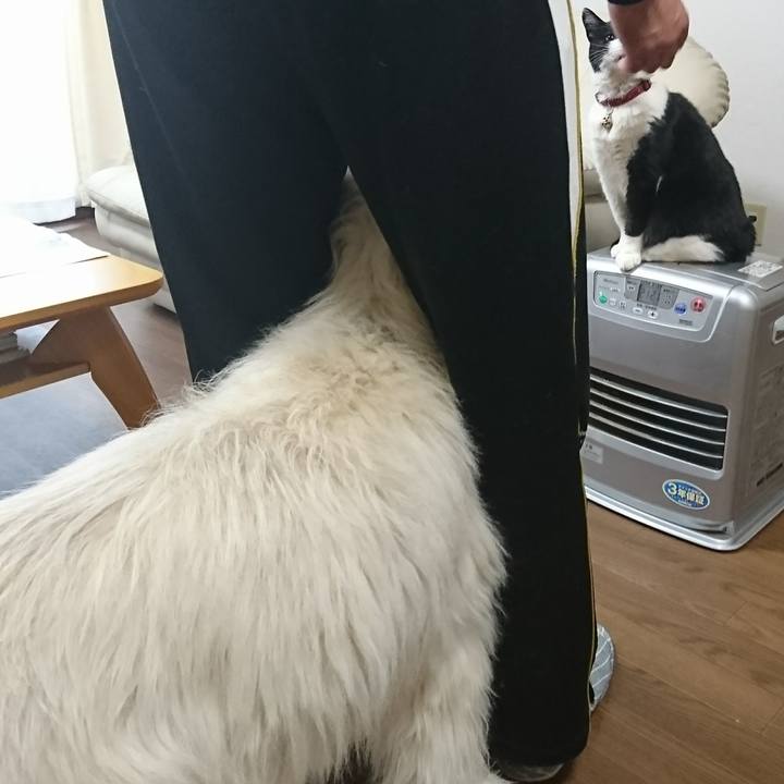 0bbb0abe 280d 483c b26b 647de7793379 1585360887512