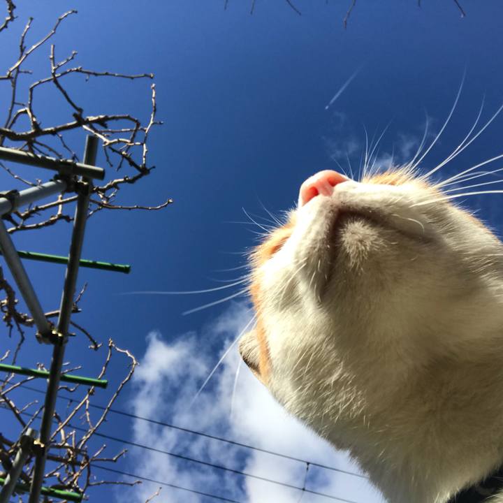 0bbb1e9b 2f8b 48cd ba9c b477e6dbf900 1511225840718