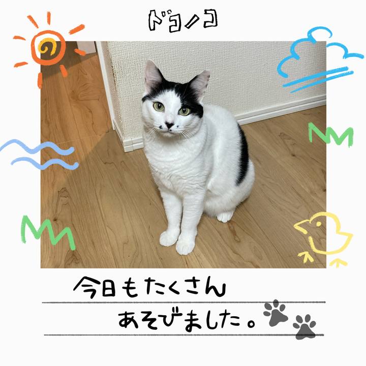 0bbb49b6 d533 4b0d a569 0aa4a3f1f381 1755429504109