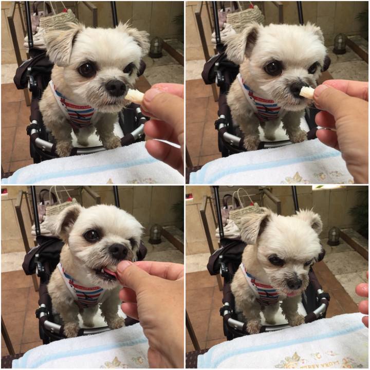 0bbb4c97 d5ea 4f55 8add f0b03bb067a7 1562405540627