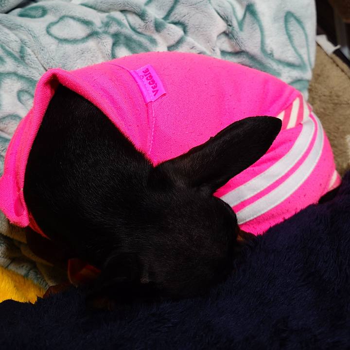 0bbb6320 37db 4655 be72 8ad050bc7e10 1767522509157