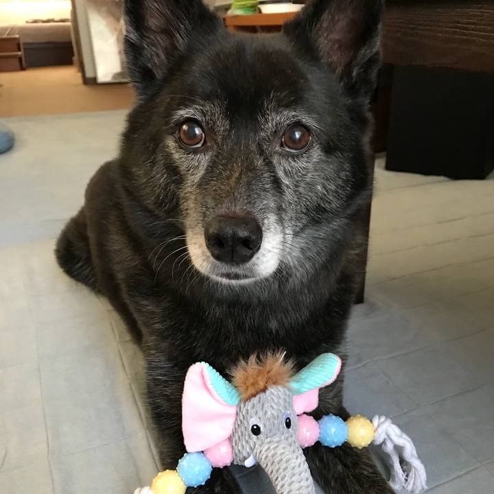 0bbb7db8 079f 480b 9679 ce864e59ad3e 1537797745151