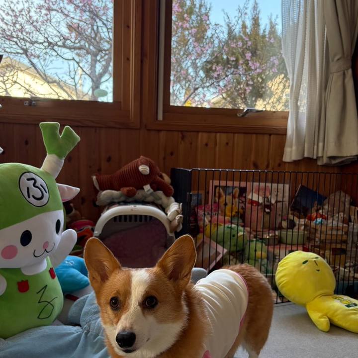 0bbb8032 8b96 4f15 8a2c 0e24cb547518 1772322296685