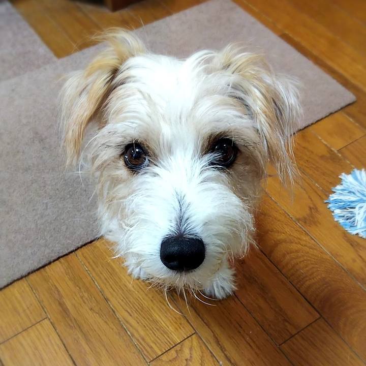 0bbb834e 44cb 452f bbed c515250bdfc8 1537912908974