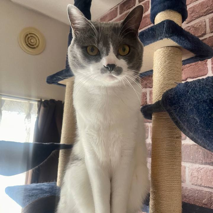 0bbb83ca 9508 4eab a9c8 ebb66d789e67 1647304411944