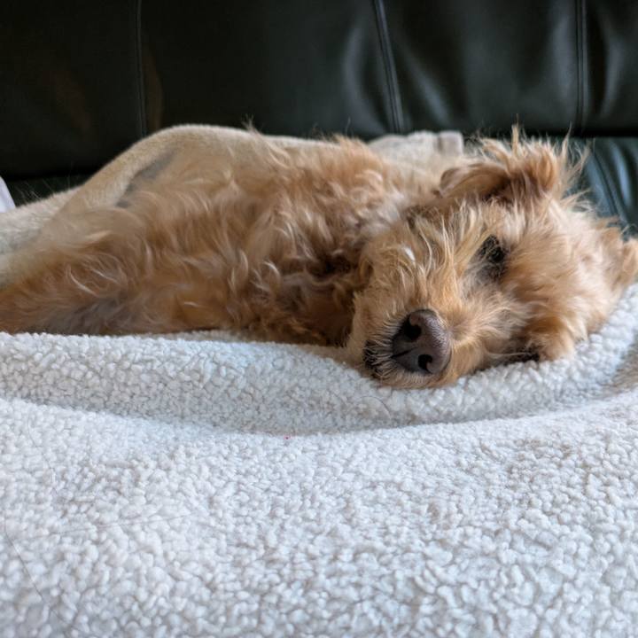 0bbb8749 8c64 430a 9ded 873bfe72f78e 1744836047603