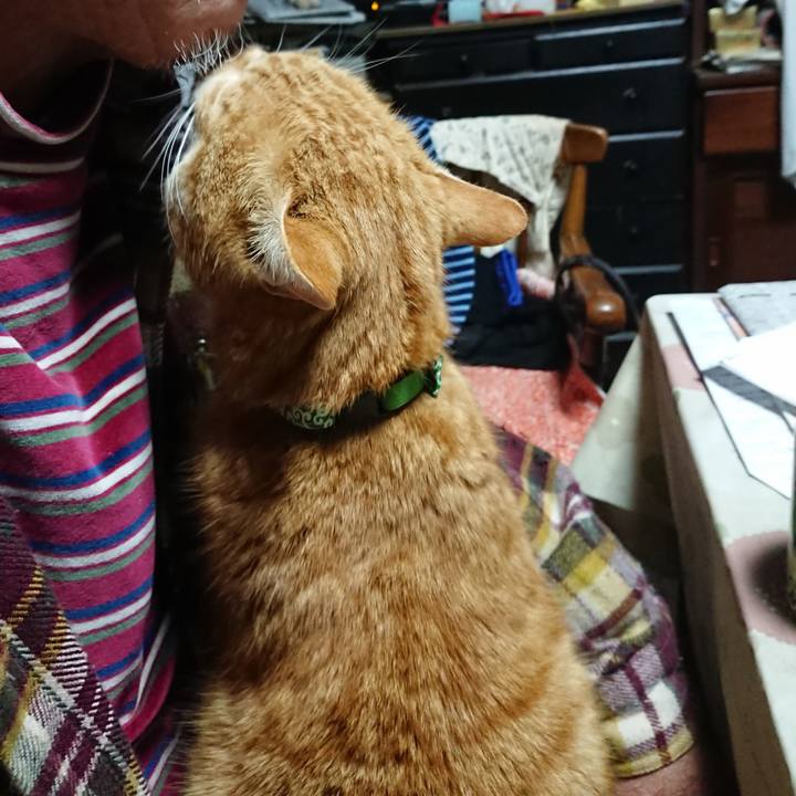 0bbba521 35e5 407f b876 b56e9a4d3588 1579986463680