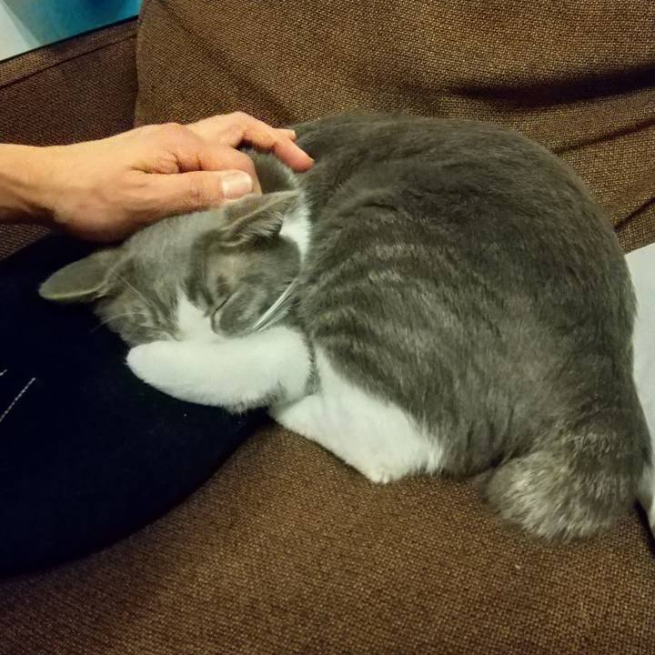 0bbbab6e 9b17 4756 9e5b 8cb9b67bdf7d 1614775123771