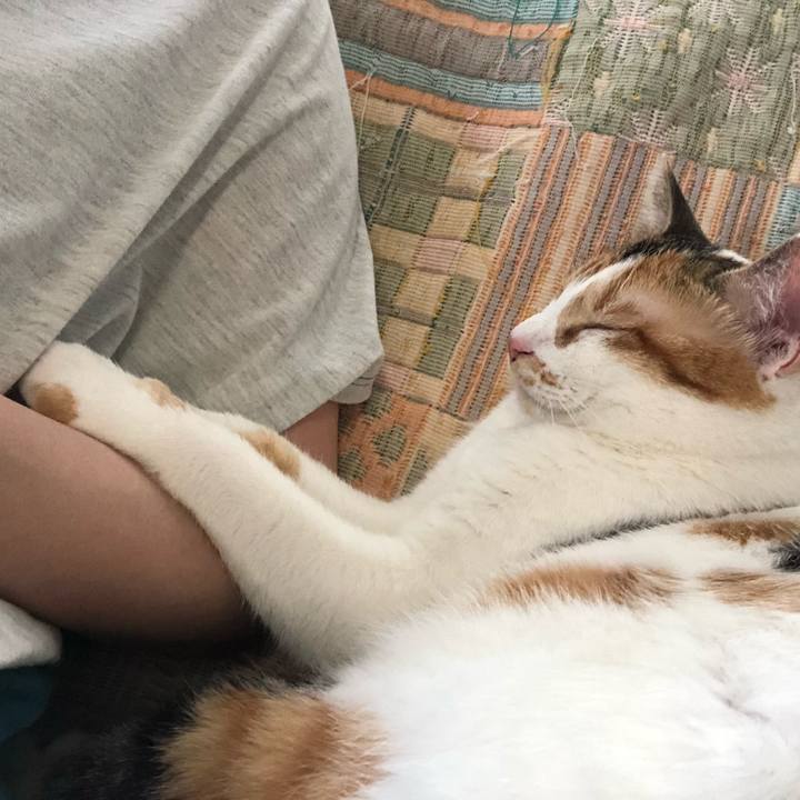 0bbbb0fe 8ddb 4546 b6d0 caa013a42da5 1592026768331