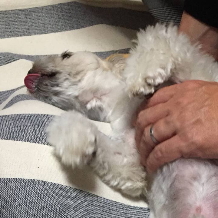 0bbbb7ff 5e71 4944 867c 98f9c4a445a8 1517525343917