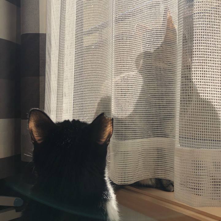 0bbbb815 3340 4ef0 8570 291f89173d9c 1551490629439