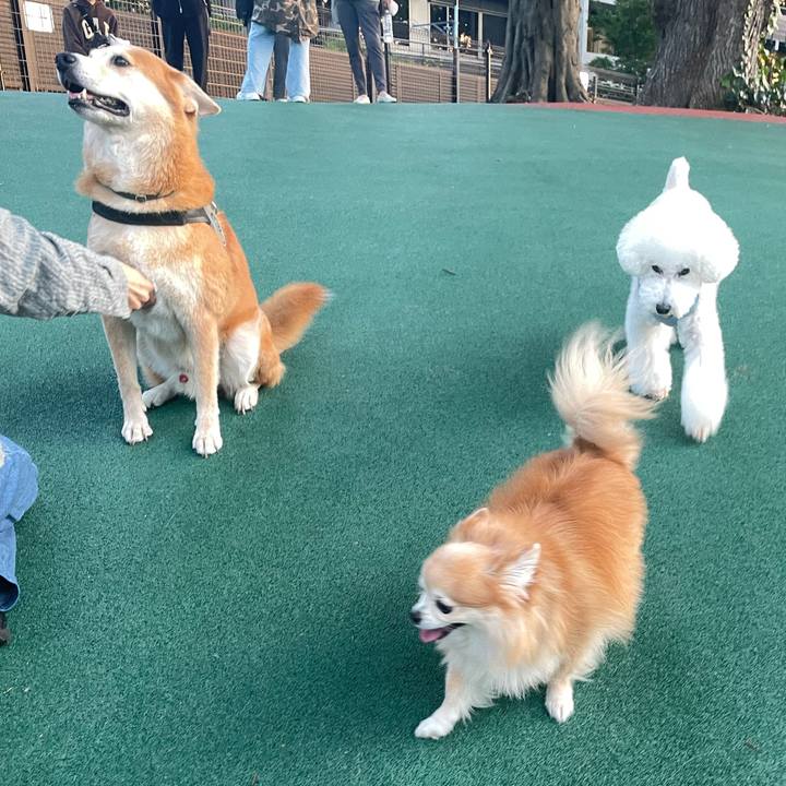 0bbbcf11 30bc 4e87 a935 d4747725e488 1761358446647