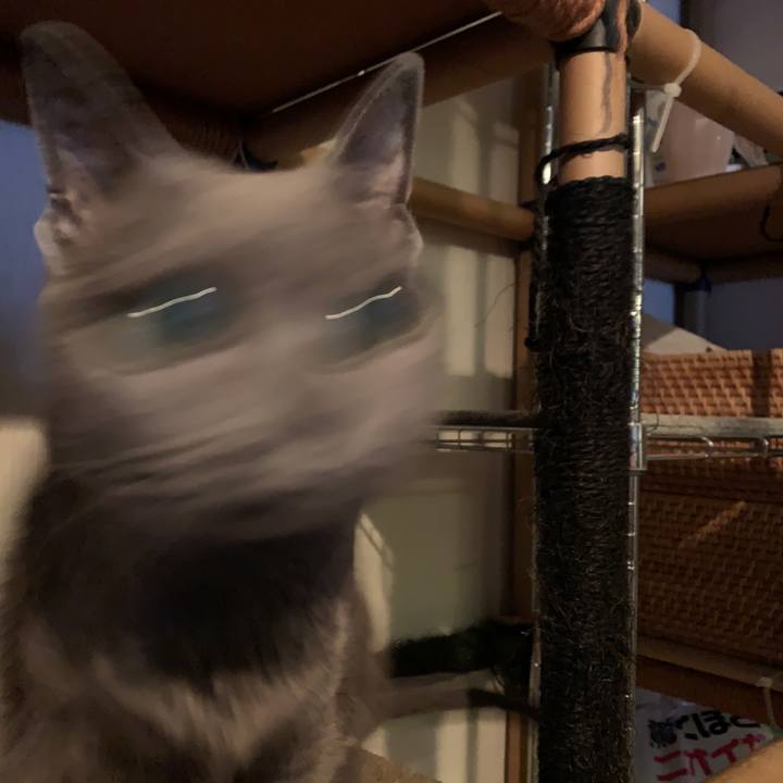 0bbbe071 6d06 4d62 bdfe 1b915e61a694 1618453993726