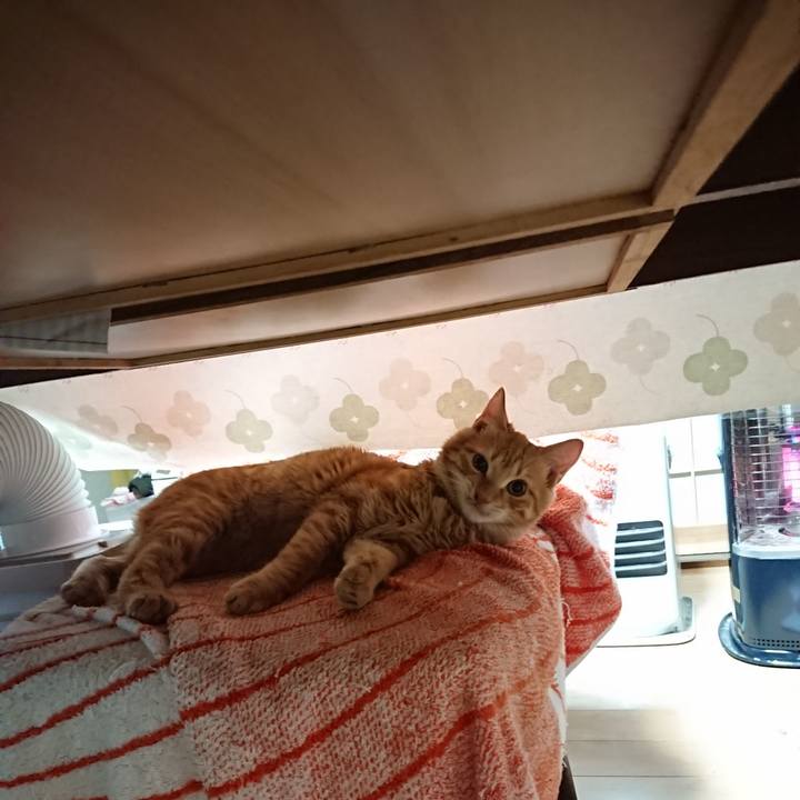 0bbbe80c 6528 4a39 a9a4 a4937438e265 1637533837133