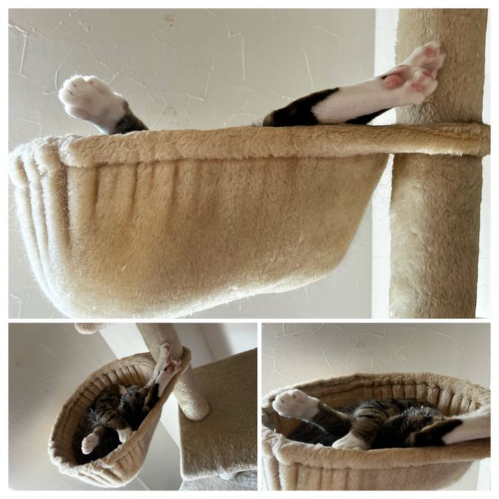 0bbbf8b4 2c3c 45ed 84e1 6c62708c2440 1753074967915