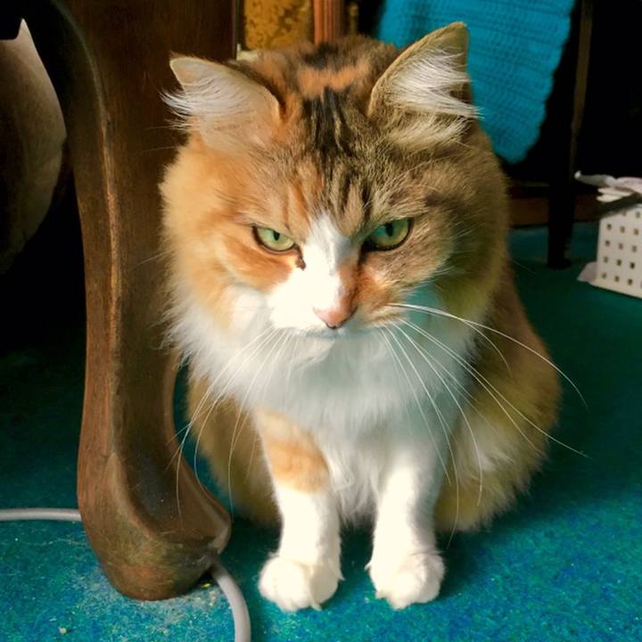 0bbc28b8 78fa 48aa 9037 5f4d113f2e30 1559098945265