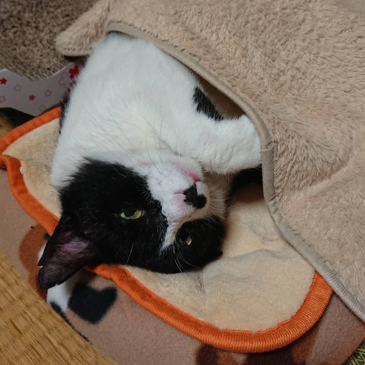 0bbc3d0c 8083 432e 9942 10a9084b237a 1571752354366