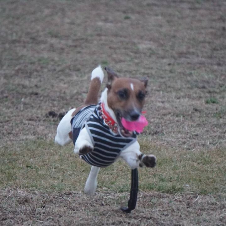 0bbcbf01 9485 4aeb bd96 7838bd2e6697 1516402724009