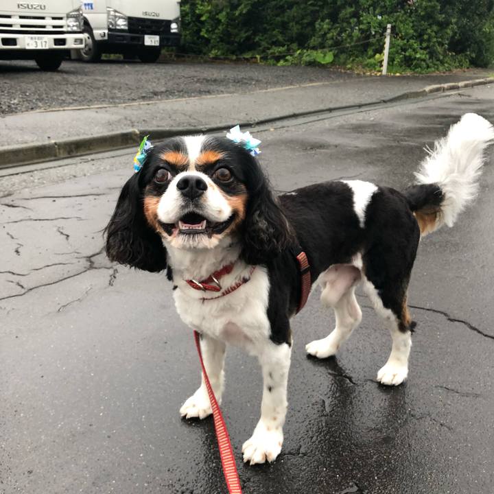 0bbcd271 e0ac 4844 85d4 538ec11be910 1531394962005