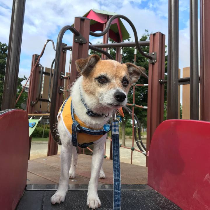 0bbd1ec8 4fed 4381 85dc 9ad17e014a10 1591829200278