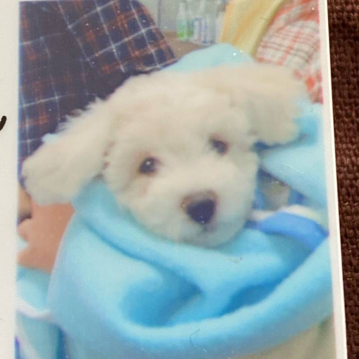 0bbd2268 0177 4ca3 a859 64e8c6231f59 1650681646436