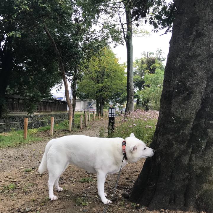 0bbd2cd6 1118 46b1 b606 4a42a6458085 1508027204526