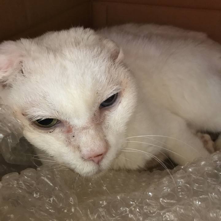 0bbd3e16 ccb7 41c9 9b33 422a0988e2a4 1562542559611