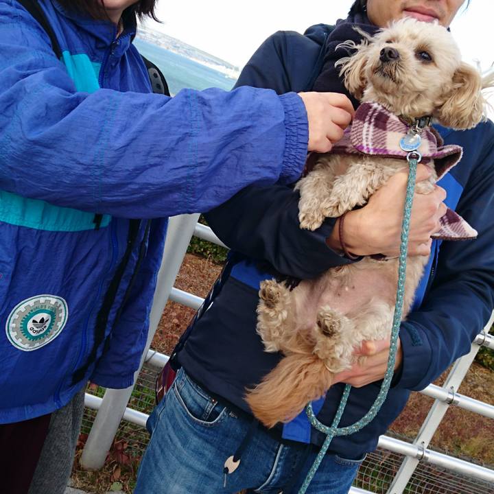 0bbd3e6b 0a02 48fe aead aef4f03ffa73 1577432728881