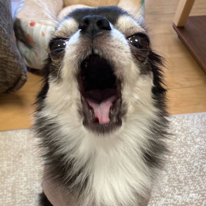 0bbd58d9 c198 46a6 b4d6 a96e99684b00 1700319884978