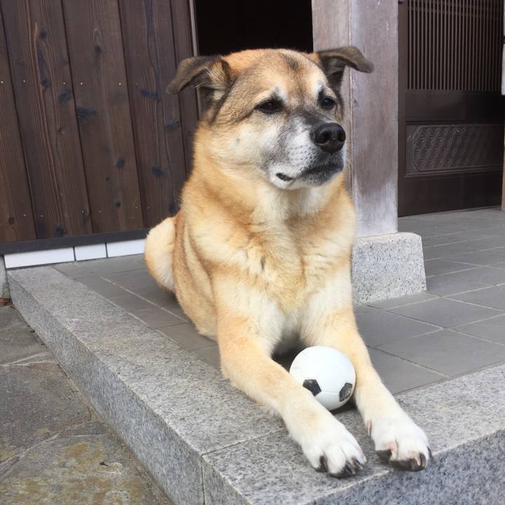 0bbd59e2 a465 4896 8343 e215f6afa588 1570667017499