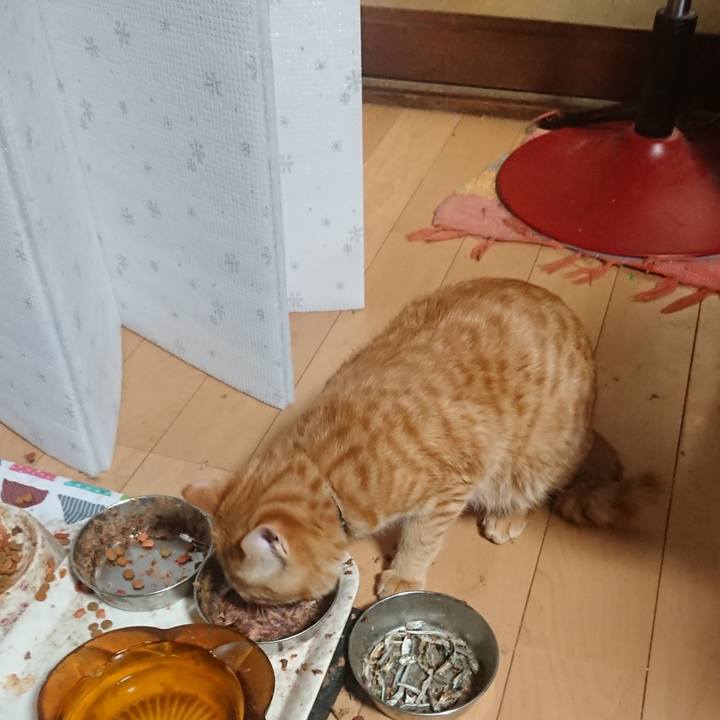 0bbd605d d876 4a2e ba82 e5d7f24440b6 1645960357411