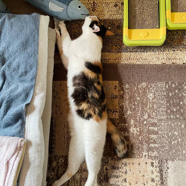 0bbde3ad c260 47ad aa53 d78be92eb433 1633056412579