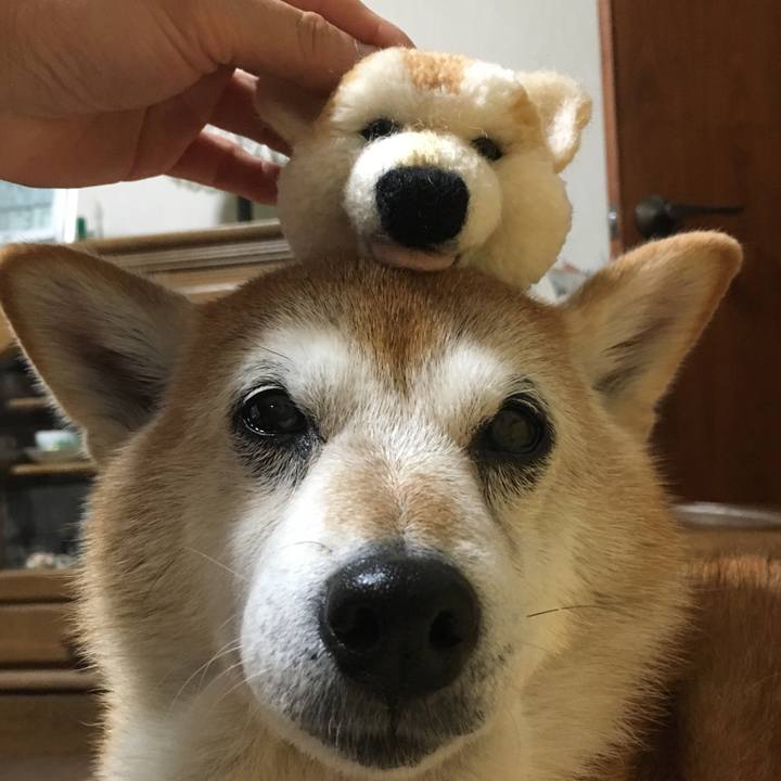 0bbdfa7e c9f3 4f3a 8d34 8d0e0f6cae68 1511422604556