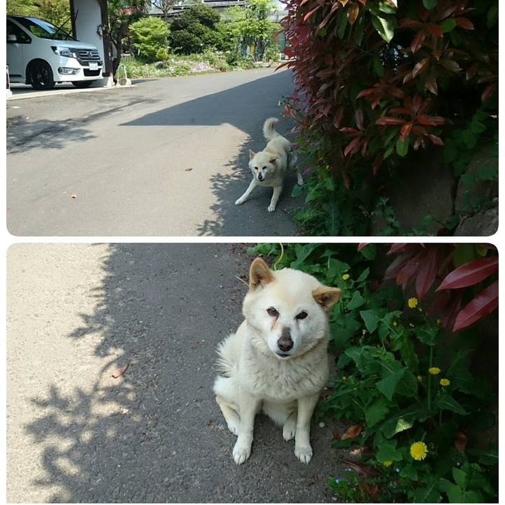 0bbe06fb 01ca 4f0b 83b3 b167f335d9af 1525138252951