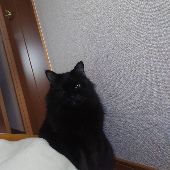 0bbe144a c8bd 498b 9164 d7160adc2ad7 1572269217990