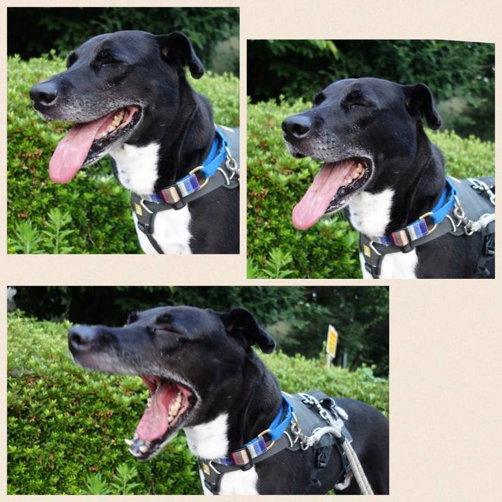 0bbe16b2 6697 4ca1 870c 3a99bfad2567 1655980287566