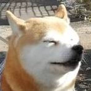 0bbe18f6 f46c 43c9 9ffa 2609b4848047 1577694664530